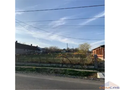 Teren intravilan de vanzare in Viile Satu Mare - foto 2
