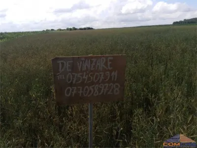 TEREN INTRAVILAN ÎN DECEBAL - foto 3
