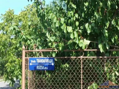 TEREN DE VANZARE IN VIILE SATU MARE - Viile Satu Mare