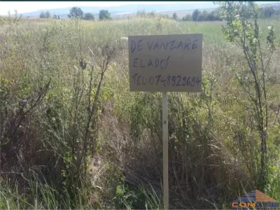 TEREN DE VANZARE IN VIILE SATU MARE - foto 2