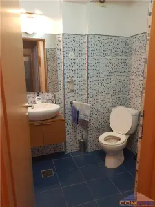 Spatiu Pentru Birouri pe strada Petofi Sandor - foto 9