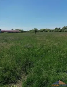 Teren Satu Mare - 40 ARI - foto 3