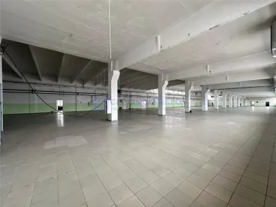 Hale/ spatii comerciale Pascani, str. Vatra, de la 300mp la 5000mp - foto 18