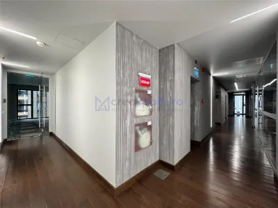 Spatiu birouri, de la 65mp la 700mp, premium, centru Iasi, zona Palas - foto 7