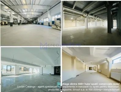 Hale Calea Chisinaului Iasi aproape de Carrefour de la 65mp la 2000mp - Iasi