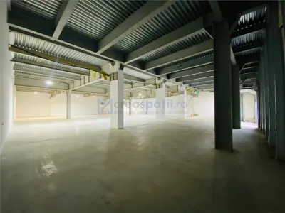 Hale Calea Chisinaului Iasi aproape de Carrefour de la 65mp la 2000mp - foto 6