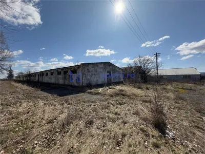 Complex hale depozitare - productie Iasi, Ciohorani, 8164mp - foto 17