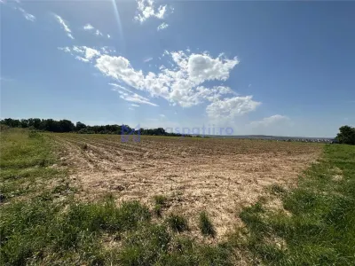 Teren langa padure pentru casa, Cercu, Barnova, de la 500mp la 4000mp - foto 2