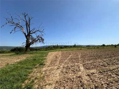 Teren langa padure pentru casa, Cercu, Barnova, de la 500mp la 4000mp - foto 3
