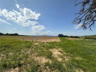 Teren langa padure pentru casa, Cercu, Barnova, de la 500mp la 4000mp - foto 6