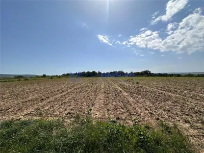 Teren langa padure pentru casa, Cercu, Barnova, de la 500mp la 4000mp - foto 7