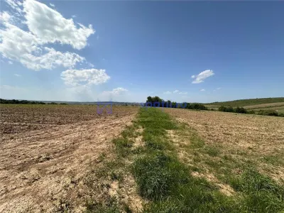 Teren langa padure pentru casa, Cercu, Barnova, de la 500mp la 4000mp - foto 8