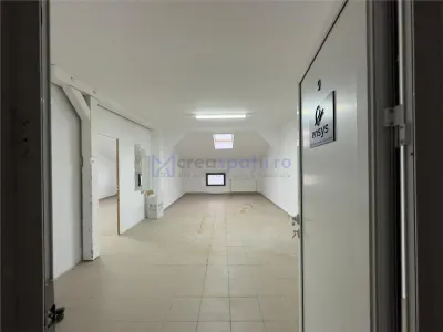 Hale Tatarasi, Aurel Vlaicu productie depozitare, de la 56mp la 1000mp - foto 11