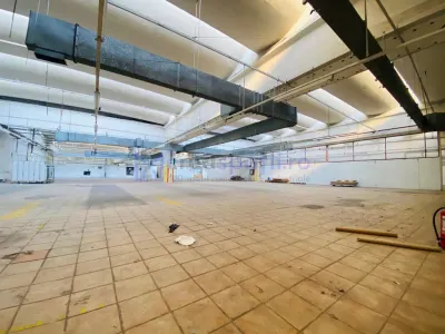 Hala str. Stefan cel Mare Vaslui, langa mall, 9023mp - foto 11