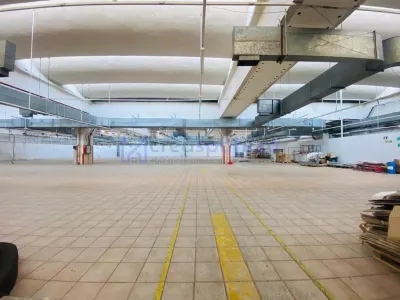 Hala str. Stefan cel Mare Vaslui, langa mall, 9023mp - foto 12