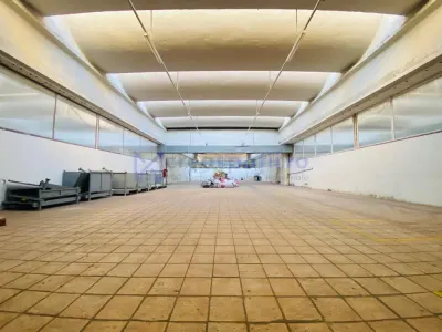 Hala str. Stefan cel Mare Vaslui, langa mall, 9023mp - foto 10