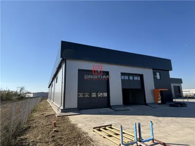 Vanzare depozit/hala/spatiu industrial Chitila - Centura - Rudeni - foto 11