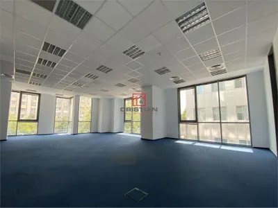 Inchiriere birouri Timpuri Noi - Splaiul Unirii, Bucuresti - foto 6