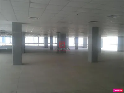 Inchiriere birouri Grozavesti - Crangasi, Bucuresti - foto 13