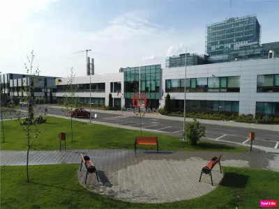 Inchiriere birouri Grozavesti - Crangasi, Bucuresti - foto 4