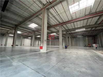 Inchiriere depozit/hala/spatiu industrial Theodor Pallady - A0 - Cernica - A2 - Manolache - foto 14