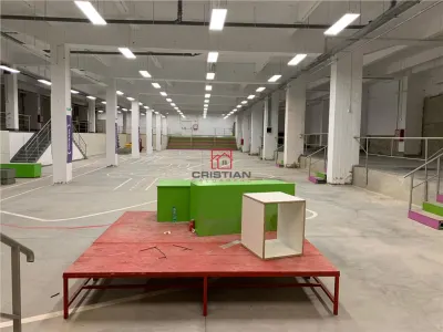Inchiriere depozit/hala/spatiu industrial Politehnica - Apaca - foto 13
