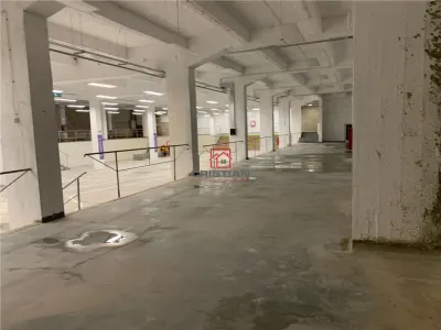 Inchiriere depozit/hala/spatiu industrial Politehnica - Apaca - foto 15