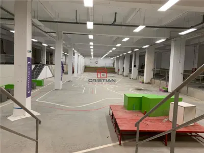 Inchiriere depozit/hala/spatiu industrial Politehnica - Apaca - foto 9