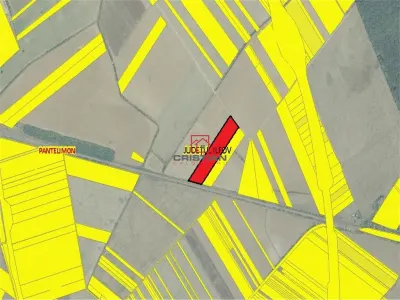 Vanzare teren Pantelimon - Centura, Ilfov - Pantelimon