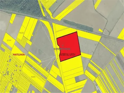Vanzare teren intravilan Pantelimon - Centura, Ilfov - Pantelimon