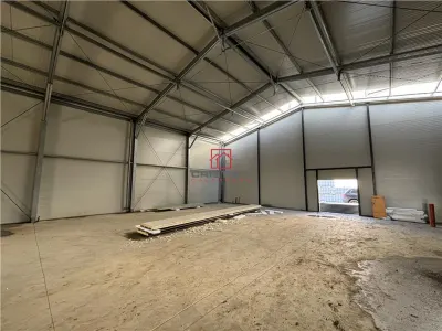 Inchiriere depozit/hala/spatiu industrial/parc logistic Jilava - Giurgiului - foto 9