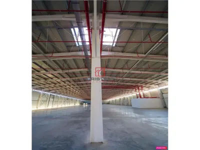 Inchiriere depozit/hala/spatiu industrial Theodor Pallady - Drumul Intre Tarlale - Oxigenului - foto 9