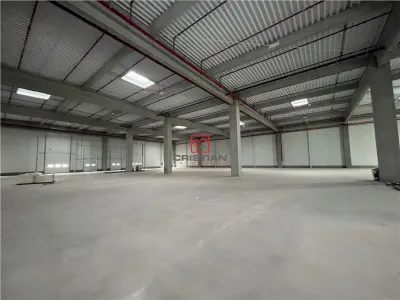 Inchiriere depozit/hala/spatiu industrial Stefanesti - Centura - foto 14