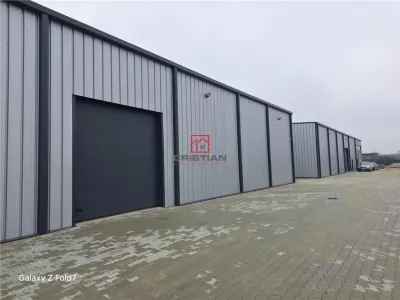 Vanzare depozit/hala/spatiu industrial Mogosoaia - Buftea - Mogosoaia