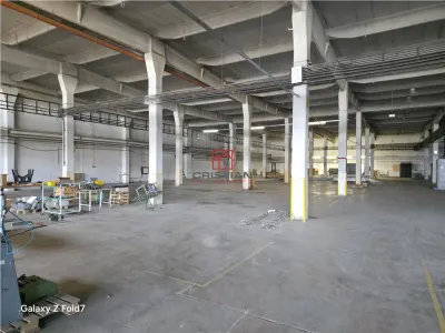 Inchiriere depozit/hala/spatiu industrial Buftea - DN1A, ILFOV - foto 14