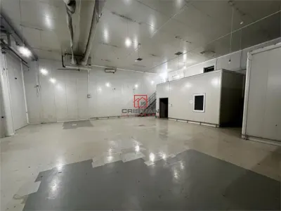 Inchiriere depozit/hala/spatiu industrial Berceni-Metalurgiei-IMGB - foto 4