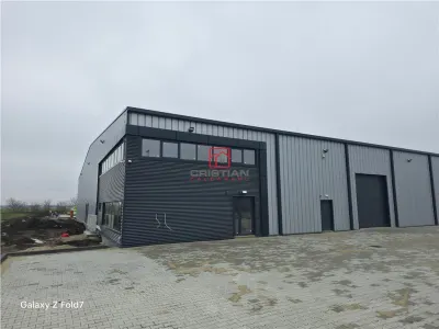 Inchiriere depozit/hala/spatiu industrial Mogosoaia - Buftea - foto 3