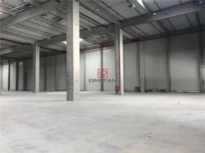 Inchiriere depozit/hala/spatiu industrial Bolintin Deal - A1 - KM23 - foto 13