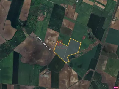 Vanzare teren Peris - Crevedia, Ilfov - Peris