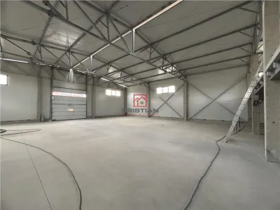 Inchiriere hala/depozit/spatiu industrial Magurele - Atomistilor, ILFOV - Magurele