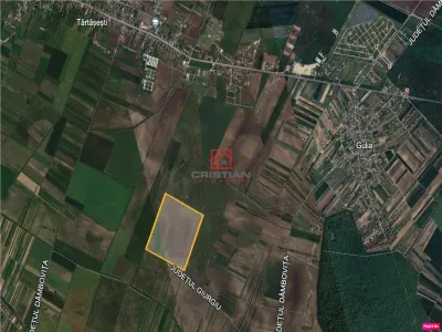 Vanzare teren agricol Tartasesti - Gulia, Dambovita - foto 2