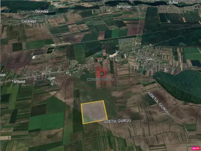 Vanzare teren agricol Tartasesti - Gulia, Dambovita - foto 4