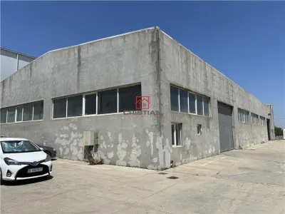 Vanzare depozit/hala/spatiu industrial Domnesti - Clinceni - Bragadiru - Centura, ILFOV - foto 2