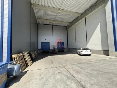 Inchiriere depozit/hala/spatiu industrial Mogosoaia - Centura, Ilfov - foto 9