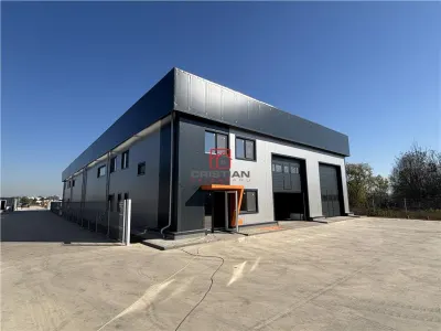 Vanzare depozit/hala/spatiu industrial Chitila - Centura - Rudeni - foto 3