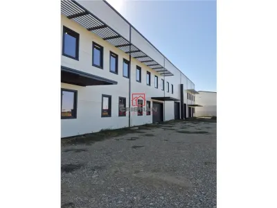 Vanzare depozit/hala/spatiu industrial Otopeni - Balotesti - A0, Ilfov - foto 7