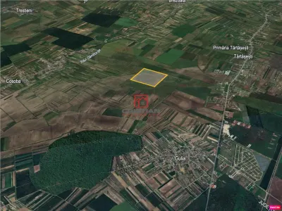 Vanzare teren agricol extravilan Tartasesti - Gulia, Dambovita - foto 1