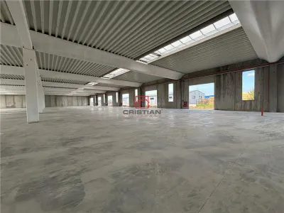 Vanzare depozit/spatiu industrial/hala Chitila - Rudeni, ILFOV - foto 14