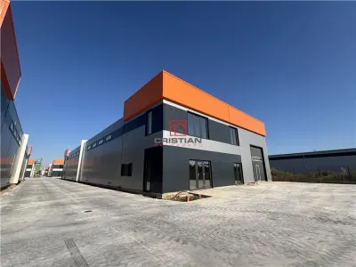 Inchiriere depozit/hala/spatiu industrial Chiajna - Centura, ILFOV - Chiajna