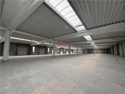 Inchiriere depozit/spatiu industrial/hala Chitila - Rudeni, ILFOV - foto 6